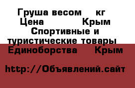 Груша весом 25 кг › Цена ­ 2 700 - Крым Спортивные и туристические товары » Единоборства   . Крым